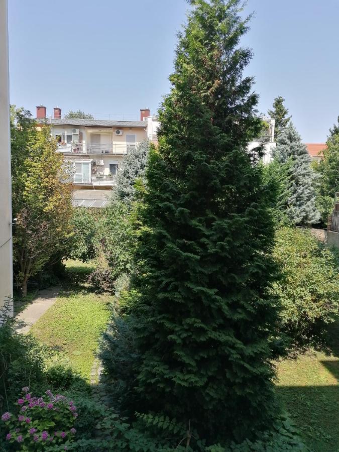 Appartement A Jump From Downtown à Budapest Extérieur photo